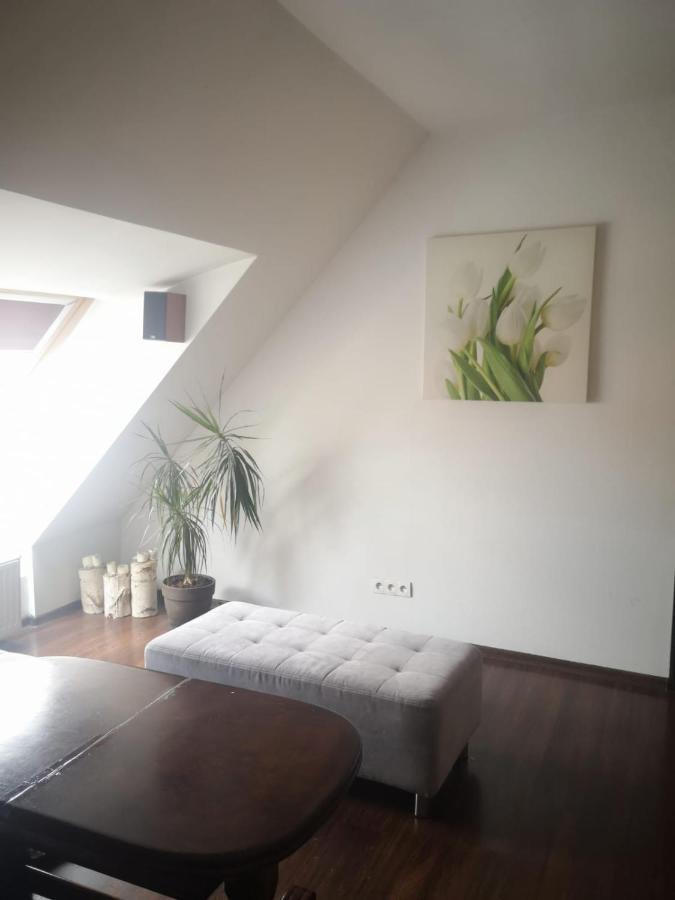 Apartamenty Lena 16 Twoje Poddasze Raciborz Luaran gambar